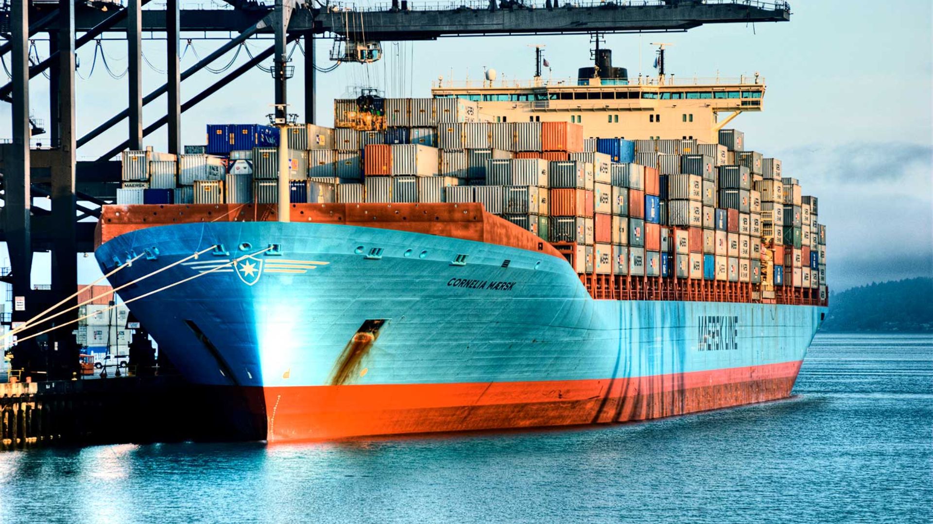 How Sea Cargo Companies Facilitate Global Shipping 