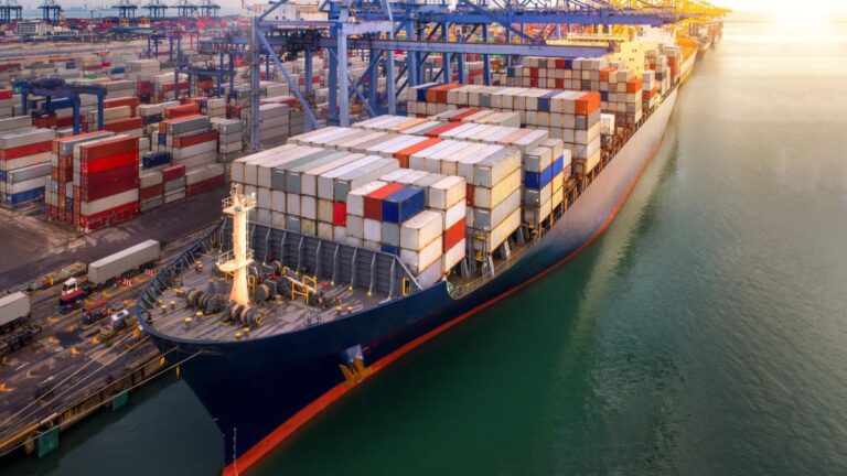 Navigating Global Trade: The Role of Sea Freight Services