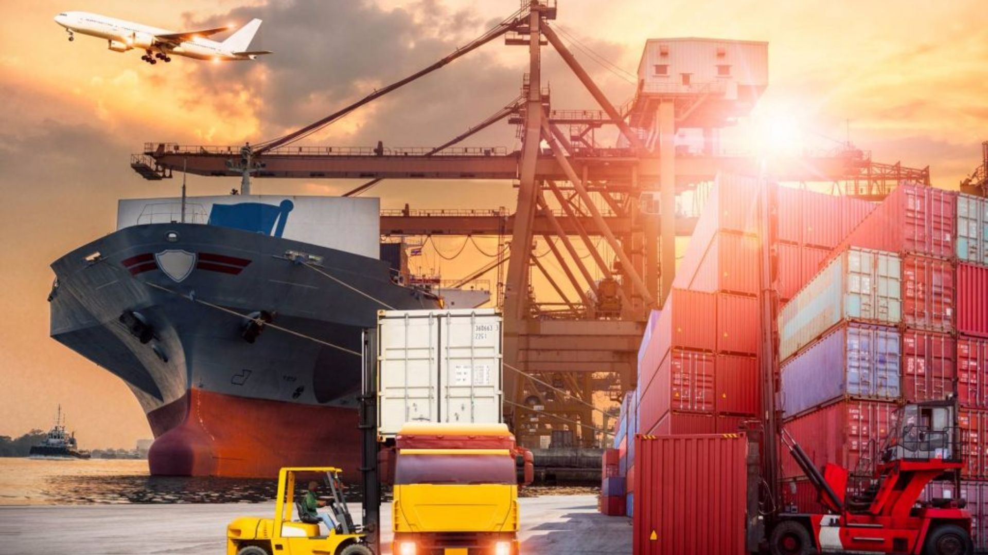 Navigating the World of Freight Forwarding Companies