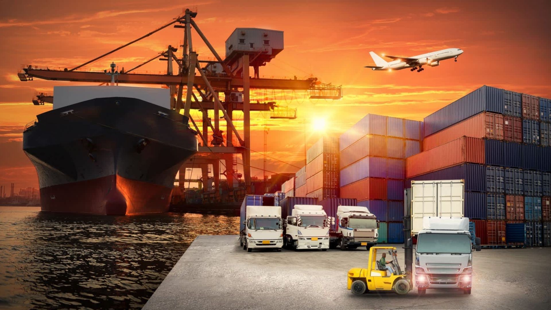 The Future of Freight Forwarding Companies in Dubai