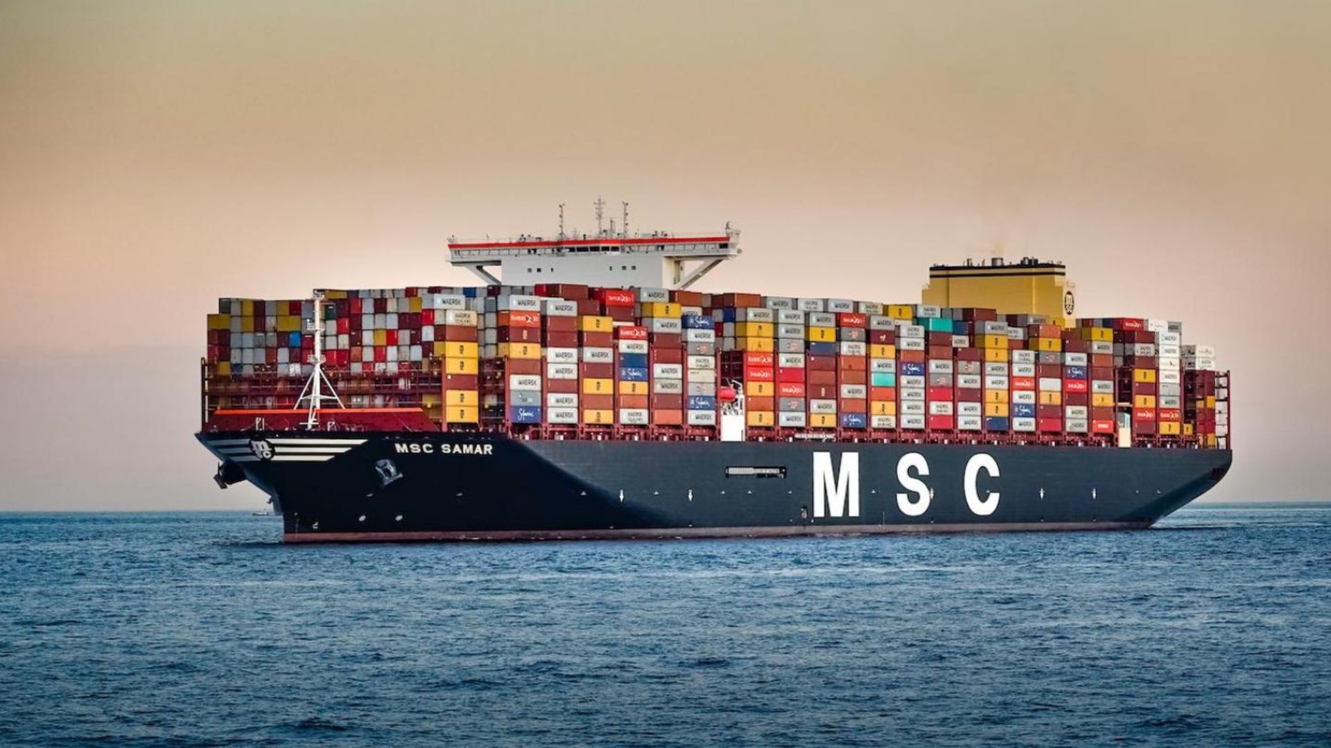 The Top Shipping Companies in Dubai to Watch in 2024