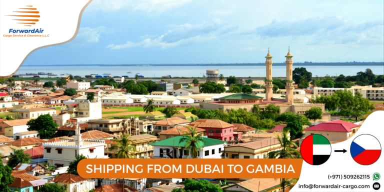 SHIPPING FROM DUBAI TO GAMBIA
